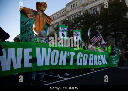 Washington DC, États-Unis. 2 Nov 2024. Quelques jours seulement avant les élections américaines, des milliers de manifestantes ont assisté à la marche des femmes en soutien à la vice-présidente Kamala Harris à Washington DC, aux États-Unis, le 2 novembre 2024. La Marche des femmes est un mouvement dirigé par les femmes qui défend un large éventail de questions, y compris l’antiracisme, le droit de vote, l’égalité salariale et la liberté reproductive. Crédit : Aashish Kiphayet/Alamy Live News Banque D'Images