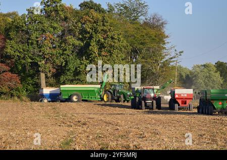 Woodland, Illinois, États-Unis. Champ de maïs récolté dans le centre-est de l'Illinois. Les récoltes apportent des temps actifs dans le Midwest des États-Unis avec cro Banque D'Images