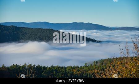 Brouillard dans les vallées des Vosges en France Banque D'Images