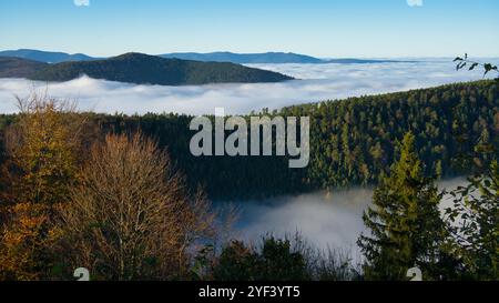 Brouillard dans les vallées des Vosges en France Banque D'Images