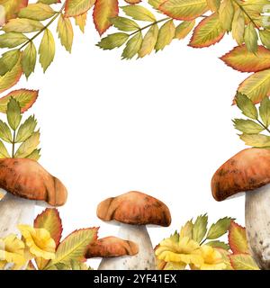 Champignons bruns Porcini et chanterelles avec feuilles de rowan d'automne dans le modèle de cadre carré de couleurs orange et vert Banque D'Images