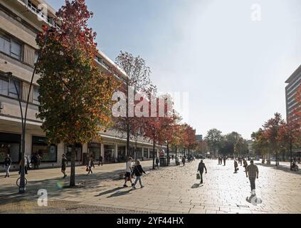 Une touche de couleurs automnales sur les arbres de l'Armada Way de Plymouth coupant à travers le principal centre commercial piétonnier avec des boutiques et des cafés de rue. Banque D'Images