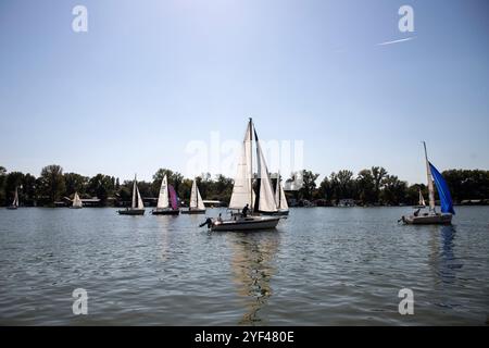 Serbie, 28 septembre 2024 : une régate de voile de Micro Class a eu lieu sur la Save à Belgrade Banque D'Images