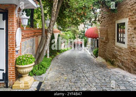 Vue panoramique de la rue Sogukcesme Sokagi à Istanbul, Turquie Banque D'Images