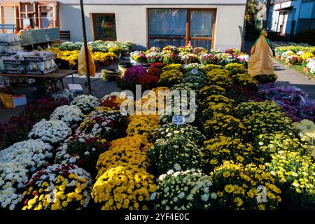 Wroclaw, Wroclaw, Pologne. 1er novembre 2024. Les 1er et 2 novembre, les catholiques en Pologne observent la Toussaint et la Toussaint. C'est le moment de visiter les tombes de leurs proches, d'allumer des bougies et de déposer des fleurs. Des foules de résidents de la ville visitent les cimetières pour se souvenir et honorer les membres de leur famille et amis disparus. (Crédit image : © Krzysztof Zatycki/ZUMA Press Wire) USAGE ÉDITORIAL SEULEMENT! Non destiné à UN USAGE commercial ! Banque D'Images