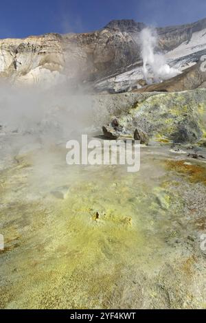 Paysage volcanique de la péninsule du Kamtchatka : champ géothermique et fumerole, sources chaudes dans le cratère du volcan Mutnovsky actif. Eurasie, extrême-Orient russe Banque D'Images