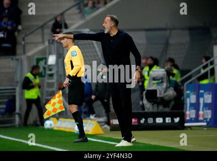 Sinsheim, Deutschland. 02 novembre 2024. 02.11.2024, PreZero-Arena, Sinsheim, GER, 1.FBL, TSG 1899 Hoffenheim vs FC réunis Pauli, DFL règlementation interdit toute utilisation de photographies comme séquences d'images et/ou quasi-vidéo. Dans l'entraîneur photo Pellegrino Matarazzo (Hoffenheim) crédit : dpa/Alamy Live News Banque D'Images