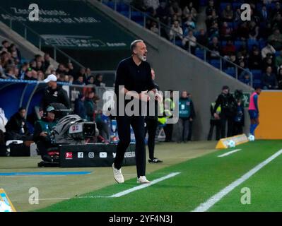 Sinsheim, Deutschland. 02 novembre 2024. 02.11.2024, PreZero-Arena, Sinsheim, GER, 1.FBL, TSG 1899 Hoffenheim vs FC réunis Pauli, DFL règlementation interdit toute utilisation de photographies comme séquences d'images et/ou quasi-vidéo. Dans l'entraîneur photo Pellegrino Matarazzo (Hoffenheim) crédit : dpa/Alamy Live News Banque D'Images