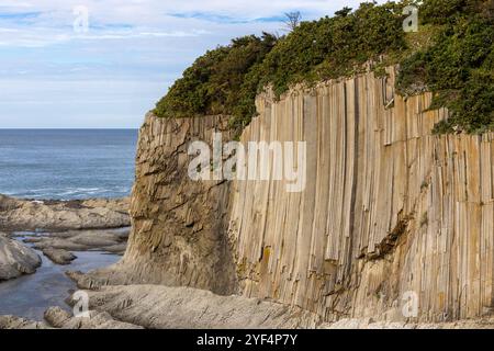 Rochers de Stolbchaty. paysage avec des roches de laves basaltiques colonnaires formant un motif géométrique naturel. cap géographique sur la rive est de Kunashir Isl Banque D'Images