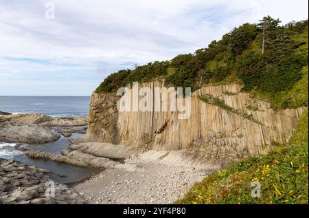 Rochers de Stolbchaty. paysage avec des roches de laves basaltiques colonnaires formant un motif géométrique naturel. cap géographique sur la rive est de Kunashir Isl Banque D'Images