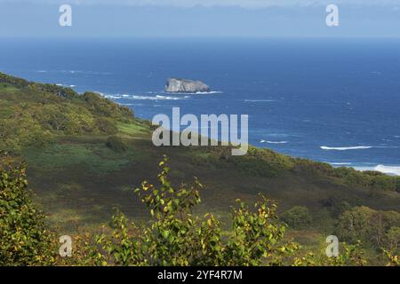 L'automne magnifique paysage marin de la côte du Pacifique : les vagues en bleu de l'océan Pacifique et la terre envahie par la forêt. Extrême-Orient russe, la péninsule du Kamtchatka, Gul Avacha Banque D'Images