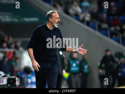 Sinsheim, Deutschland. 02 novembre 2024. 02.11.2024, PreZero-Arena, Sinsheim, GER, 1.FBL, TSG 1899 Hoffenheim vs FC réunis Pauli, DFL règlementation interdit toute utilisation de photographies comme séquences d'images et/ou quasi-vidéo. Dans l'entraîneur photo Pellegrino Matarazzo (Hoffenheim) crédit : dpa/Alamy Live News Banque D'Images