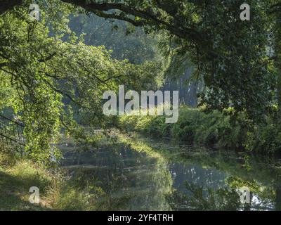 Une rivière calme avec des branches en surplomb et un reflet clair dans l'eau, anholt, isselburg, muensterland, allemagne Banque D'Images