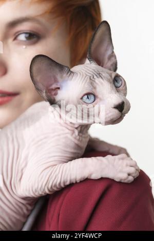 Sphynx joueur chaton sans cheveux regardant loin, assis sur l'épaule redhead jeune femme. Mise au point sélective sur le chat domestique de premier plan, faible profondeur de fie Banque D'Images