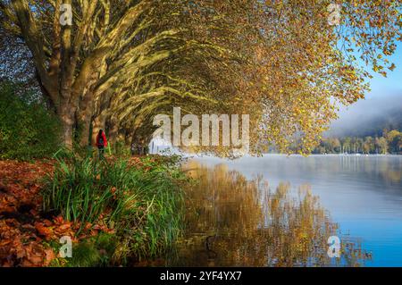 Essen, Rhénanie-du-Nord-Westphalie, Allemagne - Goldener Herbst am Baldeneysee. Spaziergaenger unterwegs in der Morgensonne am Seeuferweg unter Platanen. Essen Nordrhein-Westfalen Deutschland *** Essen, Rhénanie du Nord-Westphalie, Allemagne automne doré au lac Baldeney poussettes dehors et autour dans le soleil du matin sur le chemin du lac sous les platanes Essen Rhénanie du Nord-Westphalie Allemagne Banque D'Images