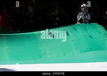 Melbourne, Australie. 03 Nov, 2024. Un manifestant tient le drapeau de la Palestine pendant le rassemblement. Des milliers de personnes se sont rassemblées au CBD de Melbourne pour un rassemblement pro-palestinien appelant à la fin du génocide des États-Unis et d'Israël à Gaza. (Photo de Ye Myo Khant/SOPA images/Sipa USA) crédit : Sipa USA/Alamy Live News Banque D'Images