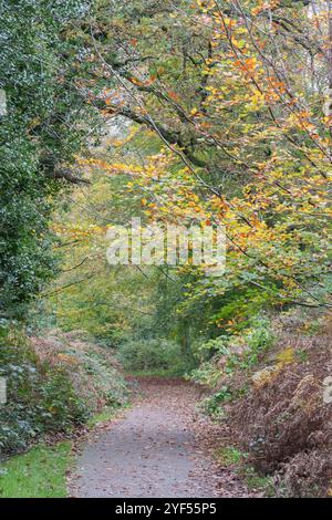 Automne sur Southampton Common Banque D'Images