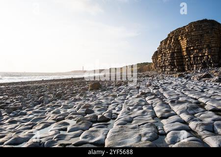 Une vue depuis Rhoose point, un littoral avec des falaises montrant des strates rocheuses et l'érosion, la plage est rocheuse avec des lignes de faille et des galets gris Banque D'Images