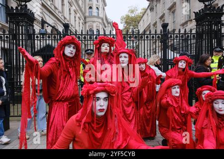 Londres, Royaume-Uni. 3rd Nov 2024. La Marche pour l'eau potable à Londres, organisée par River action, pour adresser une pétition au gouvernement pour l'eau potable dans tout le Royaume-Uni. Credit : Matthew Chattle/Alamy Live News Banque D'Images