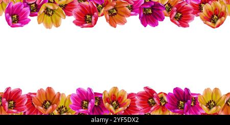 Tulipes roses, oranges, jaunes. Bordure sans couture ou cadre horizontal de fleurs d'aquarelle isolées sur un fond blanc. Illustration clipart pour mère Banque D'Images