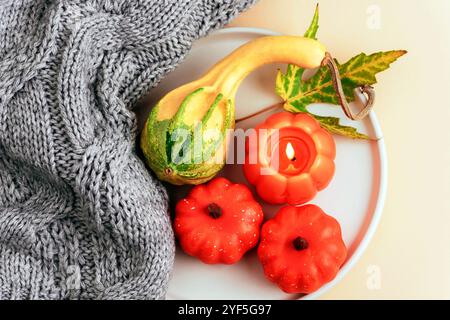 Citrouilles décoratives et bougie sur une assiette, pull tricoté sur fond neutre. Vacances d'automne, décorations pour la maison. Vue de dessus, pose à plat. Banque D'Images