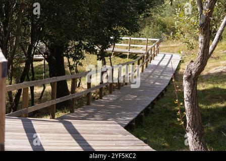 Passerelle en bois à Geres, entourée de forêt et de verdure Banque D'Images