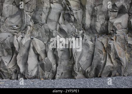 Une photographie de l’équilibrage des rochers sur la plage islandaise de Reynisfjara. Galets et pierres équilibrés sur sa falaise de basalte. Banque D'Images