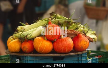 Vente de légumes au marché fermier de Prague. Énorme tas de maïs frais et de citrouilles exposées au marché alimentaire de rue Naplavka. Banque D'Images