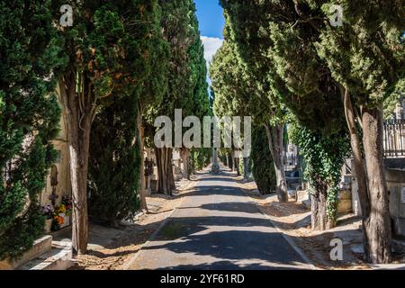 Cimetière Vieux, Béziers, département de l'Hérault dans la région Occitanie, France. Banque D'Images