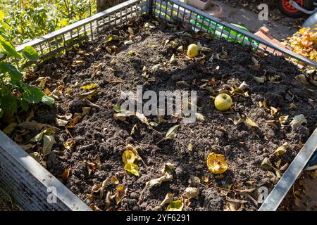 Un tas de compost plein dans le jardin pour les déchets Banque D'Images