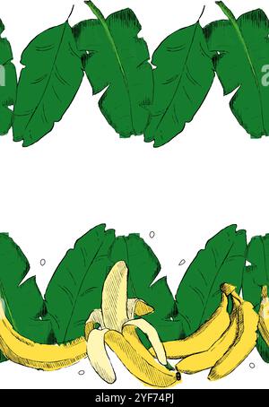 Amazon tropical laisse un cadre de bordure horizontale sans couture. illustration vectorielle. Cadre de bordure pour gabarit de feuillage de forêt tropicale. Plantes de la jungle répétées Illustration de Vecteur