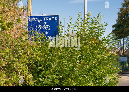 Piste cyclable envahie, piste cyclable, regarder dans les deux sens, haies, obstruction, haie de privet, signe de cycle bleu, végétation, herbe, haies, arbres, deux roues. Banque D'Images