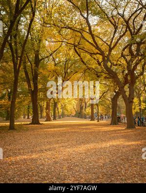 Un sentier bordé d'arbres couvert de feuilles mortes pendant l'automne à Central Park, Manhattan, New York. Banque D'Images