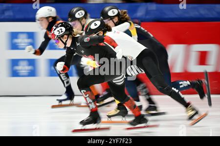 MONTRÉAL, QUÉBEC, CANADA : les patineurs participent à la course de quart de finale du 500 m féminin à l'événement de patinage de vitesse sur courte piste du circuit mondial ISU à Montréal, le dimanche 3 novembre 2024. Photo Graham Hughes/Freelance crédit : Graham Hughes/Alamy Live News Banque D'Images