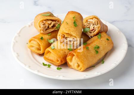 Crêpes ou crêpes fines farcies de poulet et de champignons dans une assiette Banque D'Images