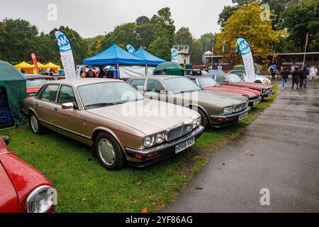 Salon des voitures anciennes à Warrington - jour de pluie - Jaguar XJ6 est en tête d'une rangée de voitures Jaguar Banque D'Images