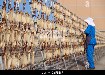 Pékin, province chinoise du Zhejiang. 3 novembre 2024. Un travailleur ajuste des calamars dans une entreprise de transformation de produits aquatiques dans le district de Putuo à Zhoushan, dans la province du Zhejiang de l'est de la Chine, le 3 novembre 2024. Crédit : Zou Xunyong/Xinhua/Alamy Live News Banque D'Images