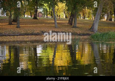 Scène automnale tranquille avec feuillage coloré reflété dans une rivière calme dans un parc pittoresque. Cadre idéal pour des moments de paix et de détente en plein air Banque D'Images