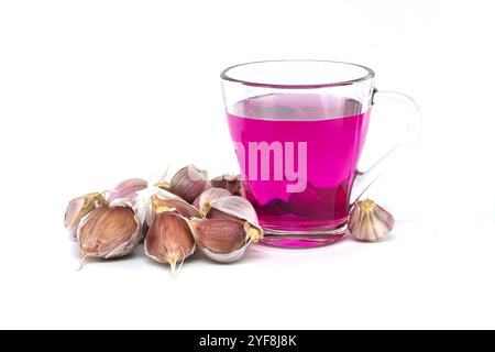 Gousses d'ail préparées pour la plantation dans une solution de permanganate de potassium, avec une teinte violette vibrante dans une tasse en verre sur un fond blanc. Banque D'Images