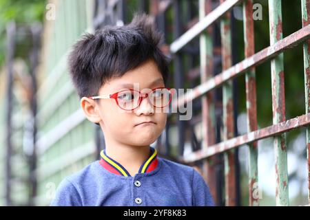 Un jeune garçon réfléchi avec des lunettes se tient à côté d'une clôture de fer, affichant une expression mignonne. L'image capture l'innocence et la curiosité dans un vibrant Banque D'Images