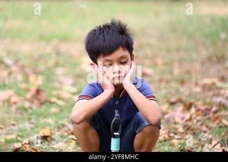 Un jeune garçon contemplatif est assis sur l'herbe dans un parc d'automne serein, reposant son menton sur ses mains. La scène capture un moment d'innocence et de réflexion Banque D'Images