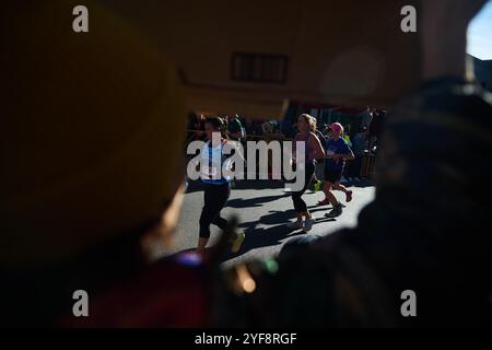 New York, New York, États-Unis. 3 novembre 2024. Un spectateur brandit une pancarte et encourage les coureurs du monde entier à participer au 53e marathon de New York, en descendant Bedford Avenue à travers Williamsburg, Brooklyn, l'un des cinq arrondissements le long du parcours de 26 km. (Crédit image : © Edna Leshowitz/ZUMA Press Wire) USAGE ÉDITORIAL SEULEMENT! Non destiné à UN USAGE commercial ! Crédit : ZUMA Press, Inc/Alamy Live News Banque D'Images