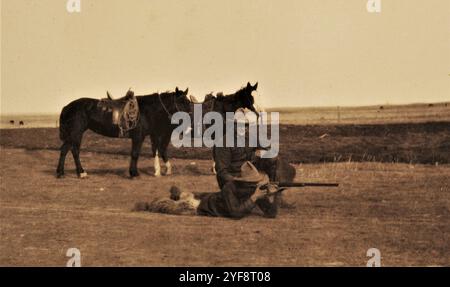 Homesteading, années 1920, Saskatchewan, Canada Banque D'Images