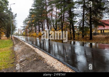 Une route asphaltée de campagne vide à travers le village dans un jour pluvieux d'automne. Road trip, transport, communications, conduite Banque D'Images