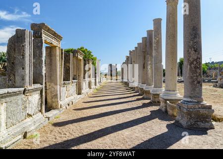 Ruines pittoresques de l'agora à Perge (Perga) en Turquie Banque D'Images