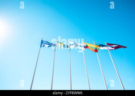 Les drapeaux des pays baltes et de la Scandinavie agitant dans le ciel d'une belle journée d'été. Banque D'Images