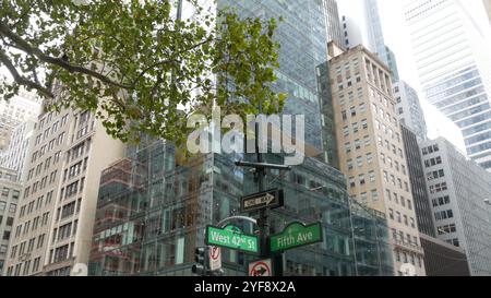 Fifth Avenue, 5 Ave Road sign, Manhattan Midtown Highrise gratte-ciel architecture, New York City 5th av, 42 Street corner près de Bryant Park et Library. Carrefour de signalisation de flèche à sens unique, États-Unis. Banque D'Images