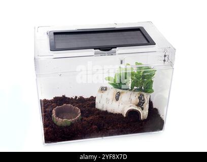 terrarium en plastique devant un fond blanc Banque D'Images