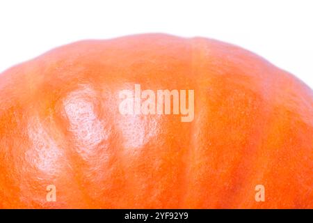 gros plan de citrouille orange sur fond blanc Banque D'Images