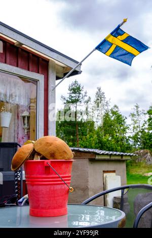 Seau plein de champignons comestibles fraîchement cueillis sur une table de jardin devant une maison de vacances avec un drapeau suédois à Blekinge, en Suède. Banque D'Images